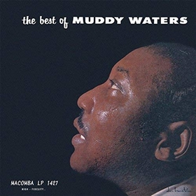 MUDDY WATERS - The Best Of