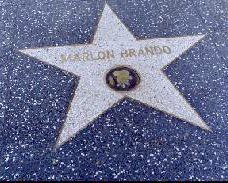 Marlon Brando - Star