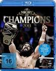 Night of Champions 2013