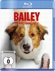 Bailey - Ein Hund kehrt zurck