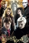 Harry Potter Poster und die Heiligt�mer des Todes 7 Poster
