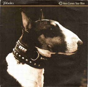 PIXIES - Here Comes Your Man