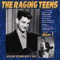 VARIOUS ARTISTS - THE RAGING TEENS Vol. 1