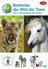 Entdecke die Welt der Tiere - Teil 1 [2 DVDs]