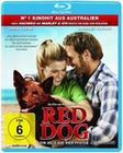 Red Dog