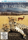 Geparden - Wildlife Edition