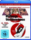Blutjunge Verfhrerinnen 3