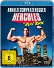 Hercules in New York