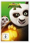 Kung Fu Panda 3