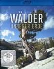 Wlder unserer Erde