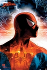 SPIDERMAN POSTER - MARVEL COMICS: PROTECTOR OF THE CITY