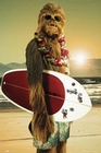 Star Wars Poster Chewbacca Surfin'