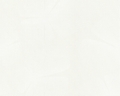 Tapete - Contzen II - Linear Leaf Weiss