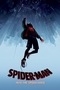 Spider-Man Poster Into The Spider-Verse